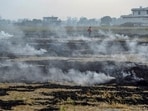 Smoke billows from the burning paddy stubble at a field in Jalandhar on Saturday. (PTI) Smoke billows from the burning paddy stubble at a field in Jalandhar on Saturday. (PTI)