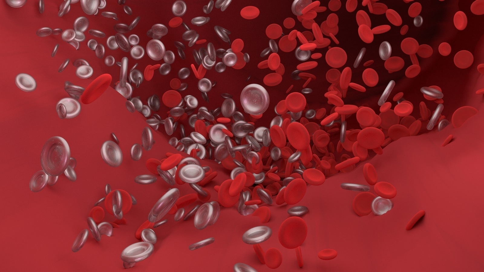 혈전과 이에 영향을 미치는 신체 부위는 무엇입니까?  의사가 밝힌다 |  건강
