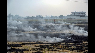 An official of the state cooperative department on duty to check paddy stubble burning was held hostage for over five hours by the activists of the BKU (Ekta Sidhupur) at Bathinda’s Mehma Sarja village on Saturday. (PTI)