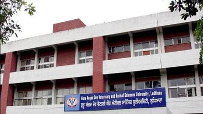 GADVASU held an on-demand training on value addition to pork on campus in Ludhiana. (HT File)