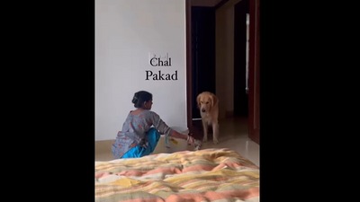 House help playing with the dog. (Instagram/@golden_boyleo) House help playing with the dog. (Instagram/@golden_boyleo)