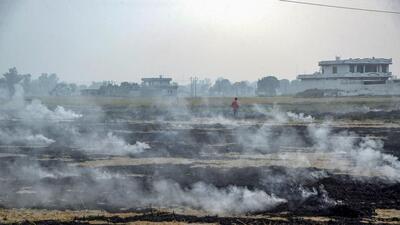 Districts like Tarn Taran, Sangrur, Gurdaspur and Kapurthala may be reporting a high number of farm fire cases this season but these hotspots skip air quality concerns. (PTI) Districts like Tarn Taran, Sangrur, Gurdaspur and Kapurthala may be reporting a high number of farm fire cases this season but these hotspots skip air quality concerns. (PTI)