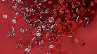 What is thrombosis and which body parts does it impact? Doctor reveals factors that raises its possibility and more (Image by Narupon Promvichai from Pixabay ) What is thrombosis and which body parts does it impact? Doctor reveals factors that raises its possibility and more (Image by Narupon Promvichai from Pixabay )