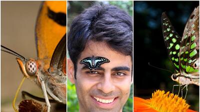 On the butterfly trail, from Mumbai to Thane On the butterfly trail, from Mumbai to Thane