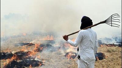 A farmer watches after burning straw stubble in a paddy field on the outskirts of Amritsar. (AFP)