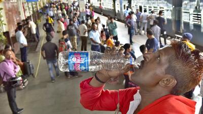 Ludhiana, India – June 12, 2019 : Station collie drinking rail neer at platform number one in Railway station, in Ludhiana on Wednesday, June 12, 2019. (Photo by Gurpreet Singh/Hindustan Times) Ludhiana, India – June 12, 2019 : Station collie drinking rail neer at platform number one in Railway station, in Ludhiana on Wednesday, June 12, 2019. (Photo by Gurpreet Singh/Hindustan Times)