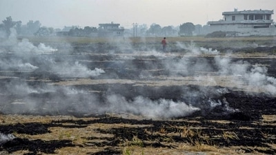 Smoke billows from the burning paddy stubble at a field in Jalandhar on Saturday. (PTI) Smoke billows from the burning paddy stubble at a field in Jalandhar on Saturday. (PTI)