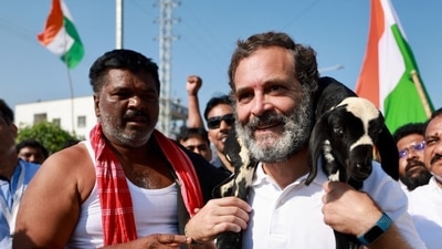 Rahul Gandhi this week led his party's 'Bharat Jodo Yatra' into Telangana, after visiting Andhra Pradesh, Karnataka, and Kerala. (Jairam Ramesh/ Twitter)