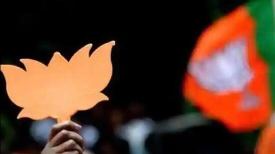 BJP leader Subhash Sharma claimed that the AAP is using all foul means to lure Gujarat voters. (AFP file photo)