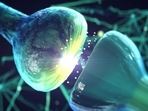 New clues into a serious neurodegenerative disease: Study(Shutterstock) New clues into a serious neurodegenerative disease: Study(Shutterstock)