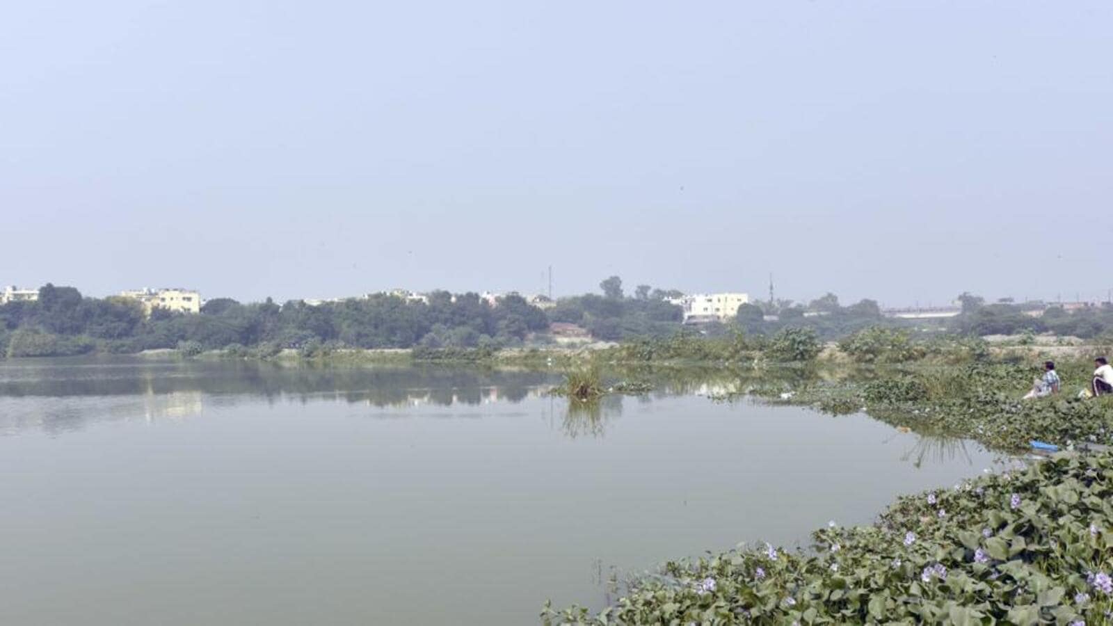 Delhi: Sanjay Lake to be first water body to get wetland tag