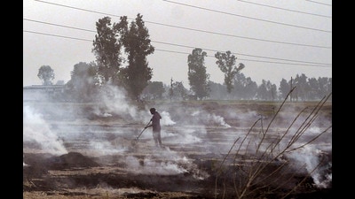 A 2021 Council on Energy, Environment and Water offered two reasons why farmers are reluctant to use CRMs: Most aren’t trained to use these machines and are apprehensive of the impact on the wheat crop yields sowed by these seeders, and second, a substantial increase in diesel prices since fuel-related costs account for 25% of the operating cost of CRMs. (PTI)