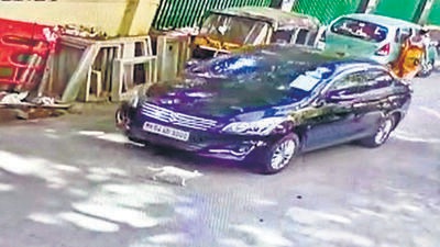 Speeding car driver ‘ignores’ the crossing cat, crushes it under wheels Speeding car driver ‘ignores’ the crossing cat, crushes it under wheels