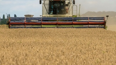 Russia-Ukraine War: A combine harvests wheat in a field near the village of Zghurivka, amid Russia's attack on Ukraine. (Reuters)