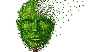 Cellular housekeeping implicated in neurological disorder Huntington's disease (Shutterstock) Cellular housekeeping implicated in neurological disorder Huntington's disease (Shutterstock)