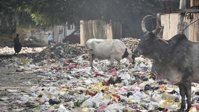 Gurugram, India - Oct. 27, 2022: A heap of garbage lies on the Kanahi Chowk road leading towards Kanahi village as Municipal Corporation of Gurugram (MCG) workers still continue their strike in Gurugram, India, on Thursday, October 27, 2022. (Photo by Vipin Kumar/ Hindustan Times) (Hindustan Times) Gurugram, India - Oct. 27, 2022: A heap of garbage lies on the Kanahi Chowk road leading towards Kanahi village as Municipal Corporation of Gurugram (MCG) workers still continue their strike in Gurugram, India, on Thursday, October 27, 2022. (Photo by Vipin Kumar/ Hindustan Times) (Hindustan Times)