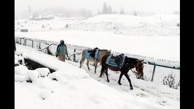 A man guides his horses through the snow-covered Gulmarg Ski Resort after snowfall in Baramulla on Sunday. (ANI File) A man guides his horses through the snow-covered Gulmarg Ski Resort after snowfall in Baramulla on Sunday. (ANI File)