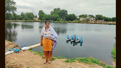 Taking advantage of govt schemes, women in Haryana trying their hand at shrimp production (PTI) Taking advantage of govt schemes, women in Haryana trying their hand at shrimp production (PTI)