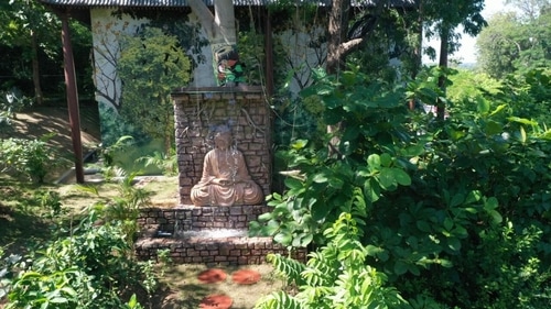 Through the Miyawaki method, a forest can be developed in just two to three years while it takes at least 20 to 30 years through the traditional method. (Sourced)