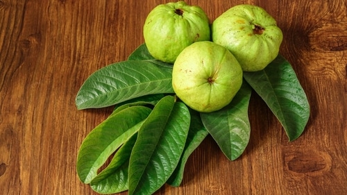 Guava (Shutterstock)