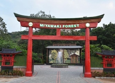 The Miyawaki Forest has been developed in an area of about two acres. (Twitter/@bjpneelrao)