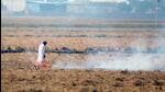 A farmer setting paddy stubble on fire in his filed near Nathana village in Bathinda on Monday. (Sanjeev Kumar/Hindustan Times) A farmer setting paddy stubble on fire in his filed near Nathana village in Bathinda on Monday. (Sanjeev Kumar/Hindustan Times)