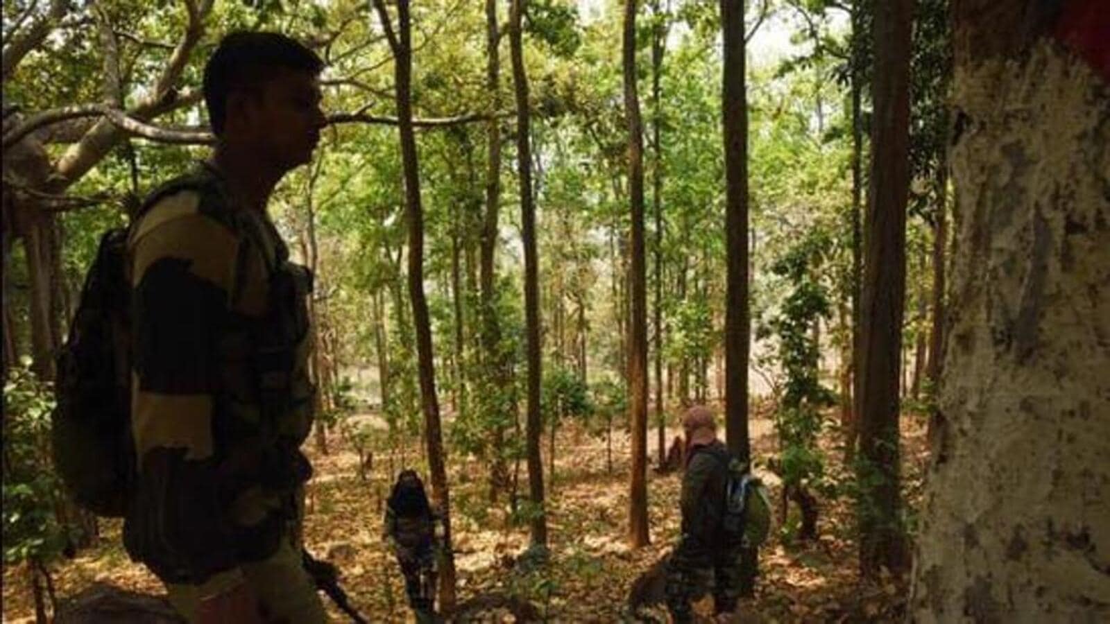 2 Maoists, Carrying ₹13 Lakh Bounty, Killed In Encounter With Police In ...