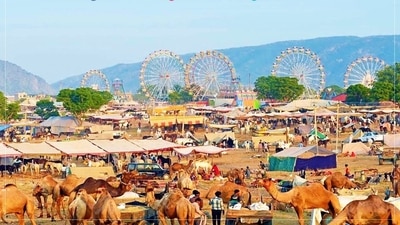 Rajasthan to host 8-day Pushkar fair, tourists from different countries invited (Twitter/ExplorRajasthan)
