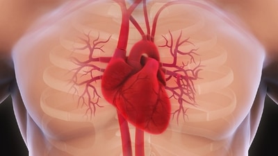 Health tips on rebuilding your work life after suffering a heart stroke (Twitter/WebMD) Health tips on rebuilding your work life after suffering a heart stroke (Twitter/WebMD)