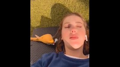 The image shows the bird stealing an earbud from the woman. (Screengrab)