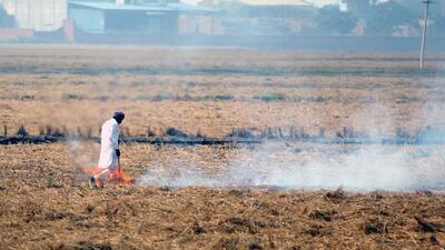 As many as 96 farm fires were reported in Ludhiana. (HT File)