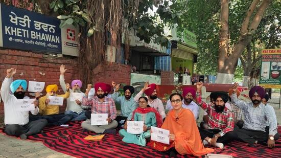 The association’s general secretary Sukhbir Singh Sandhu said the Punjab Pollution Control Board (PPCB) and revenue departments are empowered to take action against farmers for causing air pollution, but the state authorities have not fixed their responsibility. (HT PHOTO )