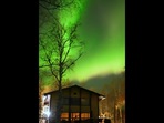 Aurora lights in Alaska.(Reddit/@VincentLedvina) Aurora lights in Alaska.(Reddit/@VincentLedvina)