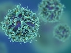 Transistors that can help identify cancer cell markers: Research(Shutterstock) Transistors that can help identify cancer cell markers: Research(Shutterstock)