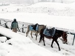 A man guides his horses through the snow-covered Gulmarg Ski Resort after snowfall in Baramulla on Sunday.(ANI File) A man guides his horses through the snow-covered Gulmarg Ski Resort after snowfall in Baramulla on Sunday.(ANI File)