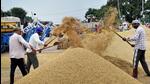 Several studies have now predicted that stronger and early-onset heatwaves, along with large variations in rainfall patterns, could jeopardise the country’s output of rice and wheat, leading to shortages. (PTI) Several studies have now predicted that stronger and early-onset heatwaves, along with large variations in rainfall patterns, could jeopardise the country’s output of rice and wheat, leading to shortages. (PTI)