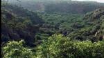The Chhattisgarh government has cited ‘law and order’ problem and overall benefit of the locals in the area. (HT File Photo) The Chhattisgarh government has cited ‘law and order’ problem and overall benefit of the locals in the area. (HT File Photo)