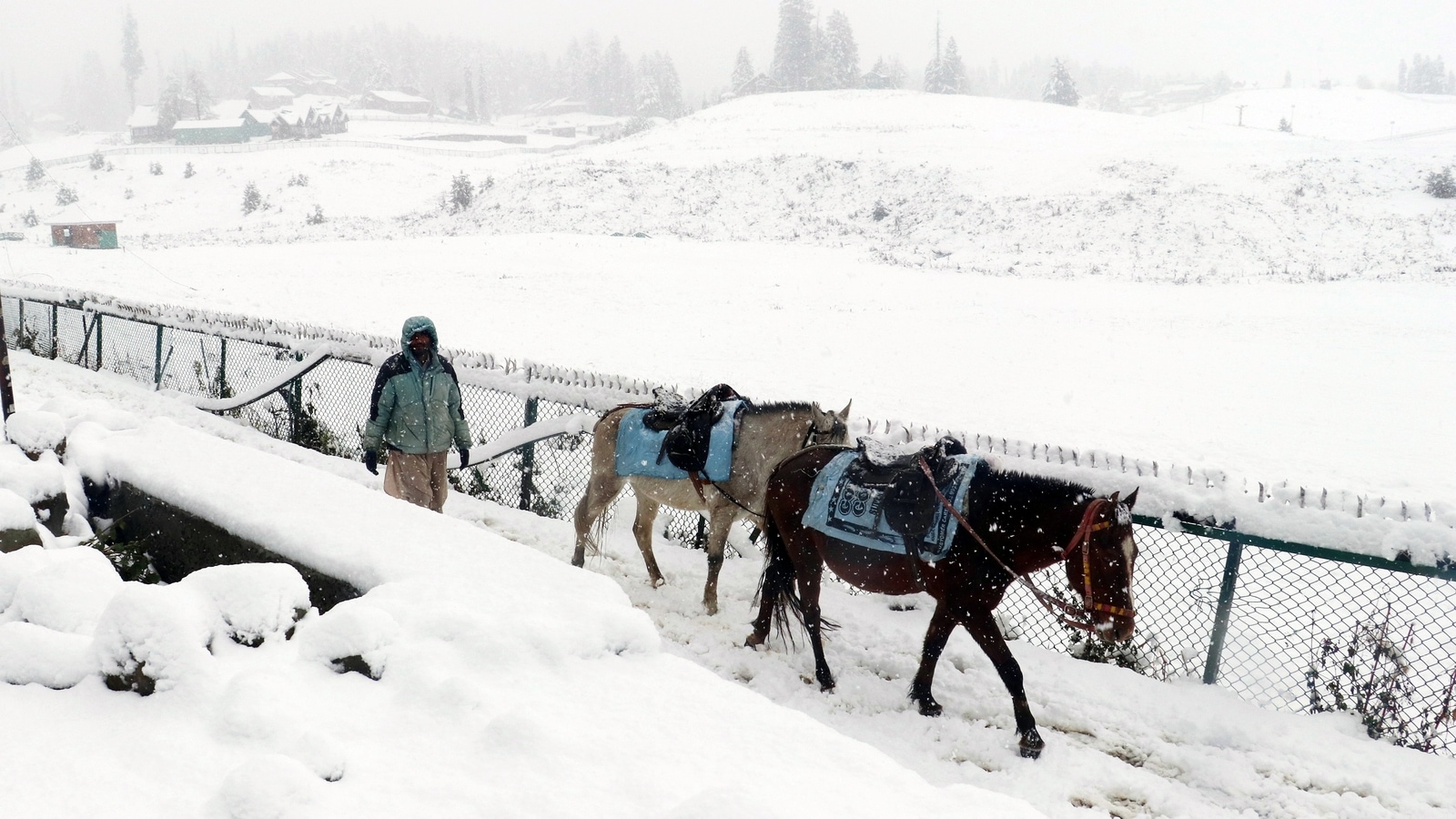 jammu-and-kashmir-witnesses-fresh-snowfall-people-share-stunning-images-videos