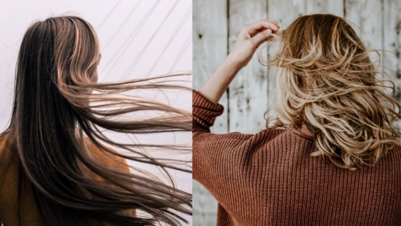 Omega 3 for hair is a great option for healthy and lustrous hair growth Omega 3 for hair is a great option for healthy and lustrous hair growth