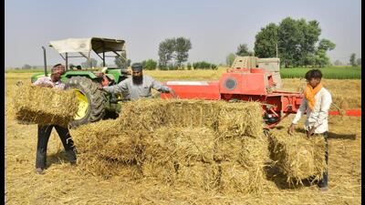 Amarjit Singh, who saw an opportunity in eco-friendly methods of straw management last year, is hoping to earn around ₹2 crore from his business of operating baler machines in paddy fields. Sameer Sehgal/HT Amarjit Singh, who saw an opportunity in eco-friendly methods of straw management last year, is hoping to earn around ₹2 crore from his business of operating baler machines in paddy fields. Sameer Sehgal/HT