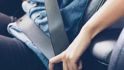 These ten days will be dedicated to spread awareness about installing seatbelts for all seats in a vehicle. (File image) These ten days will be dedicated to spread awareness about installing seatbelts for all seats in a vehicle. (File image)