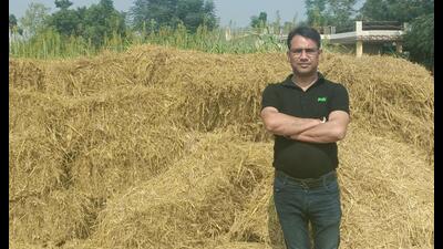 The idea of turning waste into feed struck Puneet Kashyap when he saw ‘gujjars’ feeding stubble as fodder to low milk producing animals. ht photo The idea of turning waste into feed struck Puneet Kashyap when he saw ‘gujjars’ feeding stubble as fodder to low milk producing animals. ht photo