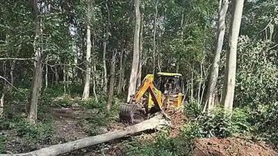 The Uttarakhand forest department questioned the FSI report, saying they want to know which satellite images FSI used to come to a conclusion on the number of trees felled. (HT File Photo) The Uttarakhand forest department questioned the FSI report, saying they want to know which satellite images FSI used to come to a conclusion on the number of trees felled. (HT File Photo)