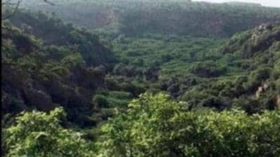 The Chhattisgarh government has cited ‘law and order’ problem and overall benefit of the locals in the area. (HT File Photo) The Chhattisgarh government has cited ‘law and order’ problem and overall benefit of the locals in the area. (HT File Photo)
