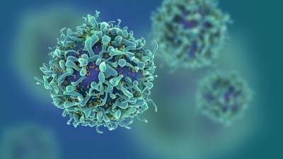 Transistors that can help identify cancer cell markers: Research (Shutterstock) Transistors that can help identify cancer cell markers: Research (Shutterstock)