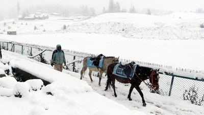 A man guides his horses through the snow-covered Gulmarg Ski Resort after snowfall in Baramulla on Sunday. (ANI File) A man guides his horses through the snow-covered Gulmarg Ski Resort after snowfall in Baramulla on Sunday. (ANI File)
