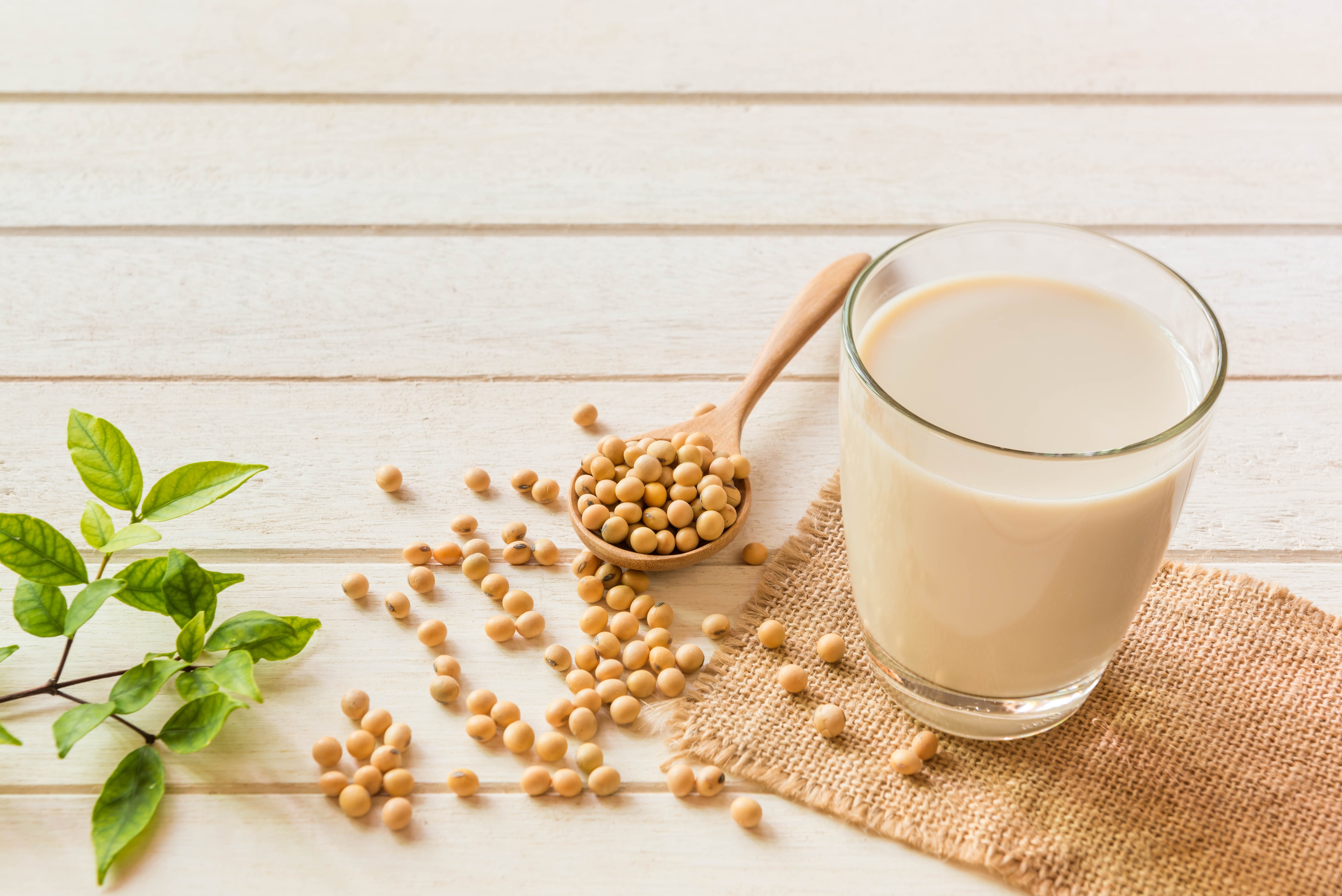 Add more of whole grains, fruits, vegetables, beans, legumes, nuts and milk alternatives before completely eliminating animal food groups that you are used to (Shutterstock)