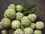 3 delicious and healthy Sitaphal (Custard apple) recipes you must try (pixaybay) 3 delicious and healthy Sitaphal (Custard apple) recipes you must try (pixaybay)