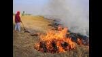 With the harvesting season at the fag-end in many parts of Punjab, farm fire incidents have seen a spurt in the state as farmers use stubble burning as the easiest way to clear residue to prepare fields for the Rabi crop. (HT File Photo) With the harvesting season at the fag-end in many parts of Punjab, farm fire incidents have seen a spurt in the state as farmers use stubble burning as the easiest way to clear residue to prepare fields for the Rabi crop. (HT File Photo)