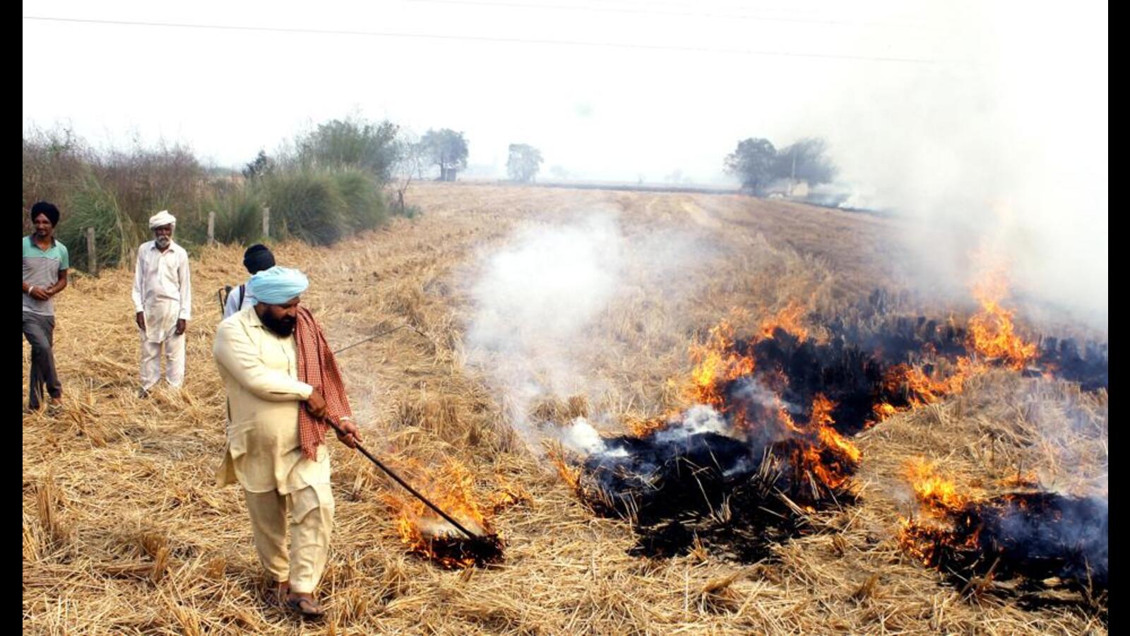 Stubble Burning 2 47 Lakh Fine Imposed On 97 Farmers In Ludhiana   09de1836 5ada 11ed 8e23 5469c5b8902c 1667412826317 